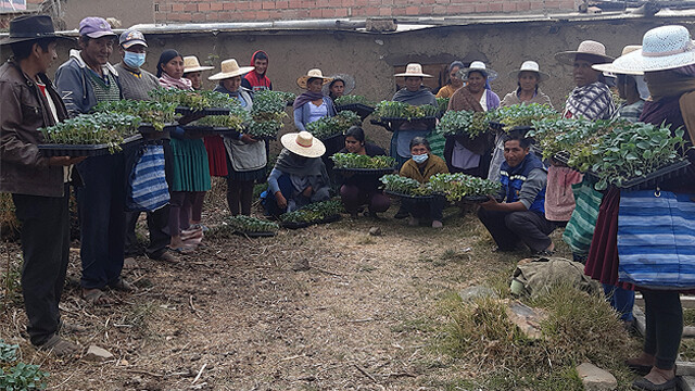 BOLIVIA_ENTREGA PLANTINES FAMILIAS.jpg